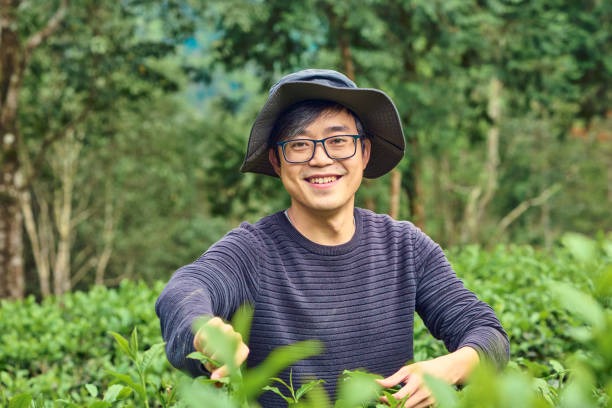 Grow to Glow Herbal Garden Wellness for Radiant Living